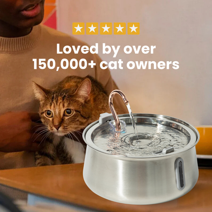 The KittySpout™ 2.0 - Health & Happiness Cat Kit