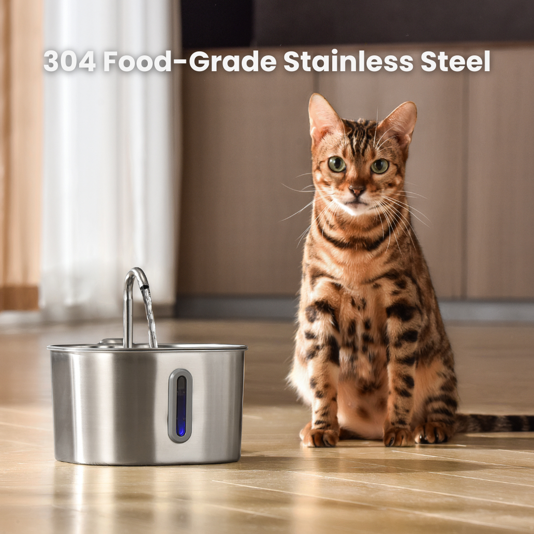 The KittySpout™ - 2.2L Fountain 2–month Kit